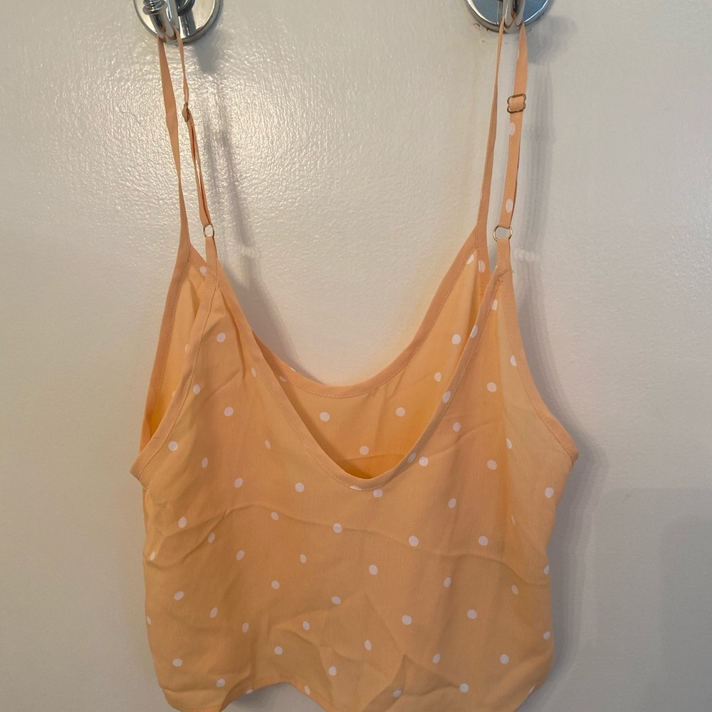 Flynn Skye Polka Dot Crop Top
